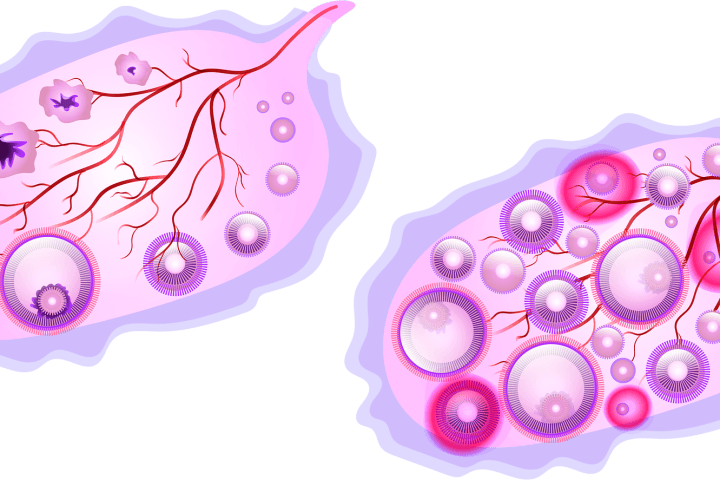 排卵期自我檢測