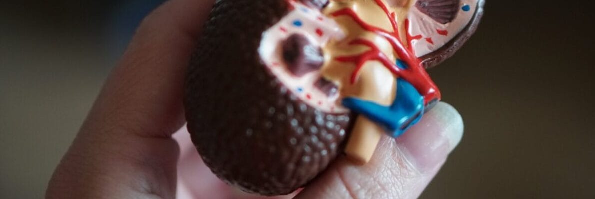 DNlite-DKD 腎功能預後風險檢測示意圖