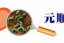 幽門桿菌抗原抗體檢測